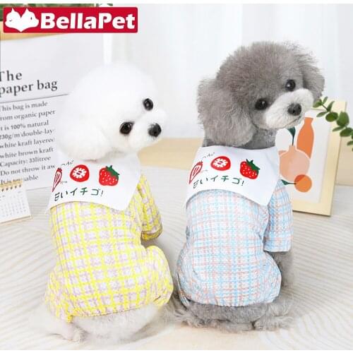 Designer Dog Clothes for Small Dogs Cat Clothes Cute Dog Clothes Accessories Summer Clothing for Cats French Bulldog Chihuahua