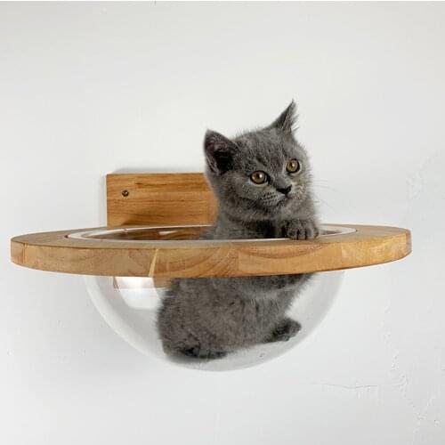 Pet Furniture Cat Wall House Wall-mounted Transparent Space Capsule Cat Tree Wooden Cat Climbing Frame Kitten Bed Springboard