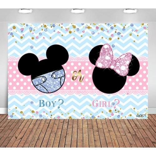 Baby Shower Background My First Communion Party Boy or Girl Poster Mouse Dots Photography Backdrop Gender Reveal Photo Studio