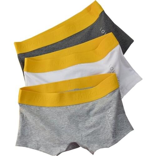 HaleyChan 3pcs Cotton Trend Panties for Tomboy Elastic Waist Boxer Briefs Underwear Women Boyshort Lingerie Trans Les Lesbian