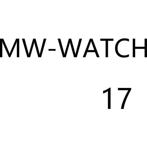 MW17 2021 Smart Watch High-definition Large Screen Long-term Battery Life 4G Full Netcom Smart Sports Watch Wholesale
