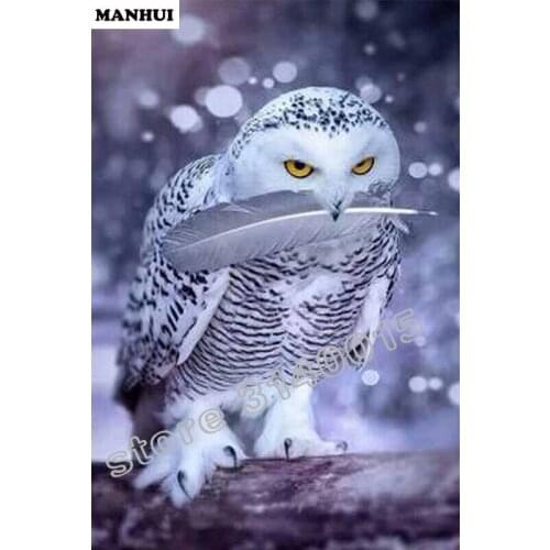 Full Square Diamond 5D DIY Diamond Painting Animal owl Embroidery Cross Stitch Rhinestone Mosaic Painting Decor Gift BFC201
