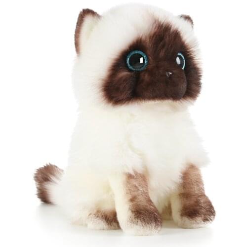 Simulation Siamese Cat Plush Toy Blue Eyes Cat Plush Doll Home Decor toys