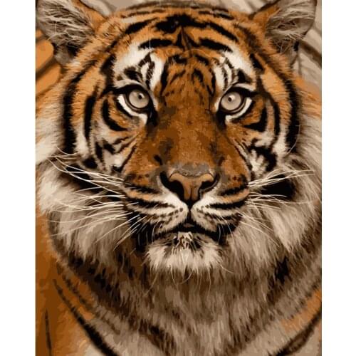 Tiger Head king Animal DIY Digital Painting By Numbers Modern Wall Art Oil Painting Christmas Holiday Gift Home Decor Big Size