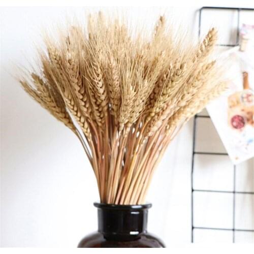 100pcs Wheat Stalks Natural Dry Wheat Decor Imitation Plants For Christmas Wedding Home Office Decoration Shooting Props