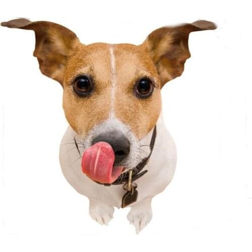 1PC Cute 3D Long Tongue Dog Wall Sticker Floor Stickers For Kids Room Stickers Remover Art Sticker Wall Decals Pets Dogs Murals