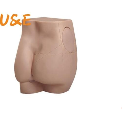 Hip Injection Training Model Buttock Muscle Injection Training teaching tools skeleton human anatomy model Medical supplies