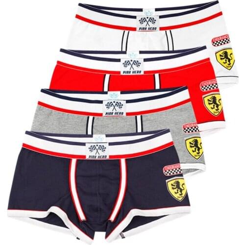 Pink Heroes Men's Family Briefs