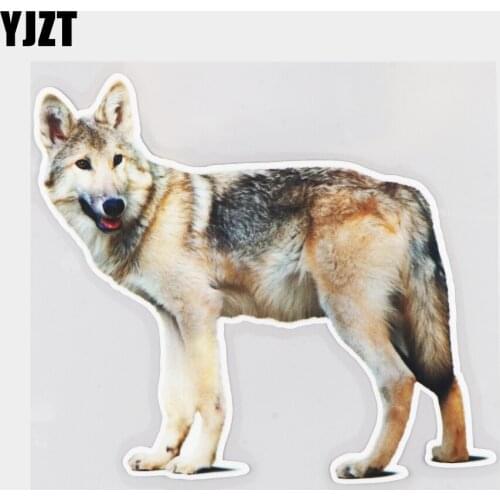 YJZT 17.5×16CM Natural Gray Wolf Animal Vinyl Decals Creative Cartoon Decoration Car Stickers 21A-0086