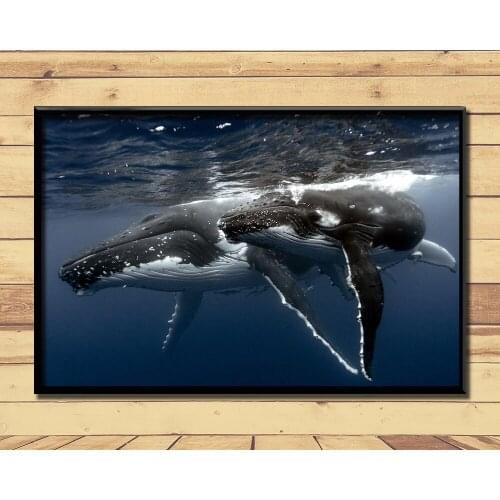 Humpback Whale Ferocious Giant Marine Animal (4) Wall Posters Prints Silk Art Painting For Home Wall Bedroom Decor