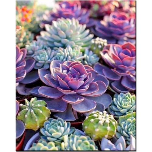 Full drill square Crystal Paintings Succulent Plants Diamond Embroidery Diy 5d round diamond painting Cactus Diamond Mosaic