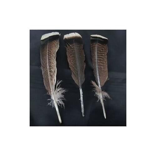 New!50PCS/LOT Rare Wild Turkey Tail Feathers 10-12inches/25-30cm FREESHIPPING