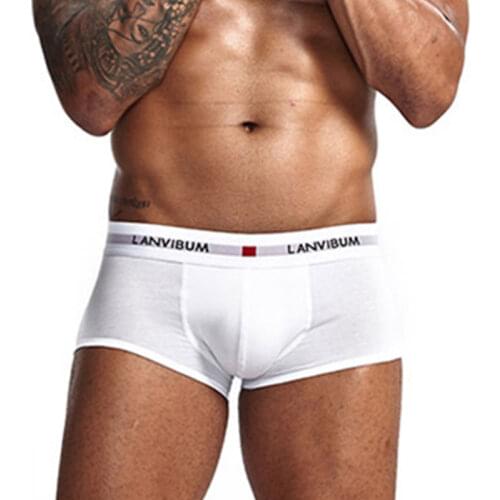 3Pcs / Set Cotton Men 's Boxer Soft Intimate Low-Rise Underpants Solid Color Large Shorts Underwear Sexy Comfortable Fit Briefs