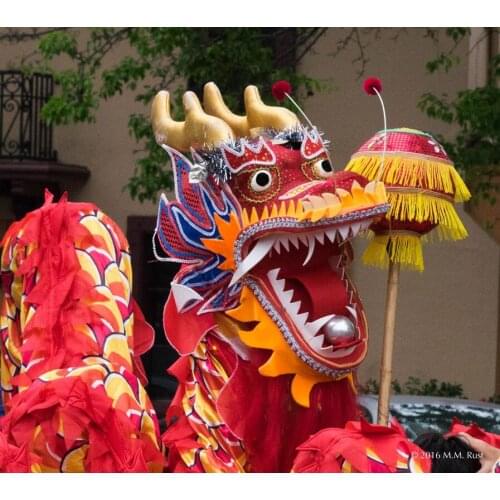 10m Length Dragon Dance Costume 8 Player SZ5 8-12 Age Children Play Party Performance Parade Folk Parad Smart Stage Mascot China