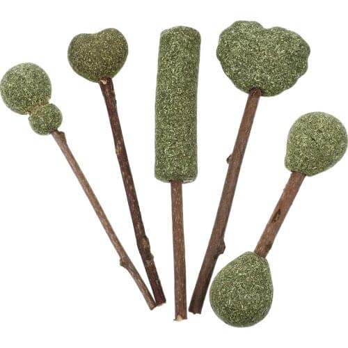 5Pcs Catnip Lollipops Natural Catnip Lollipops Catnip Toys Teeth Cleaning Snacks