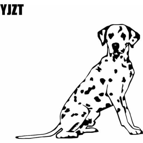 YJZT 15.6X14.1CM Modern Art Funny Car Sticker Vinyl Decal Dalmatian Dog Pet Animal Black/Silver C24-1485