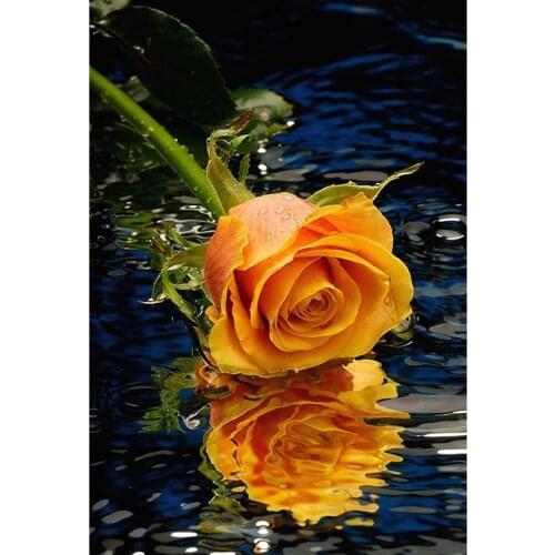 3D DIY diamond painting 4 colors of roses square rhinestone pasting decorative painting diamond embroidery mosaic needlework