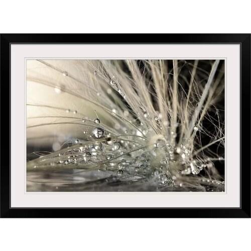 Abstract Canvas Pearls Water Drops Wall Art Prints and Posters Painting Nursery Pictures for Living Room Bedroom Home Decor