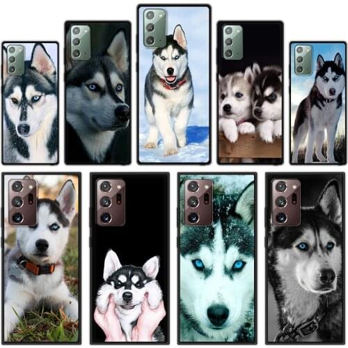 Bandai Samsung Galaxy Note 10 Phone Cases