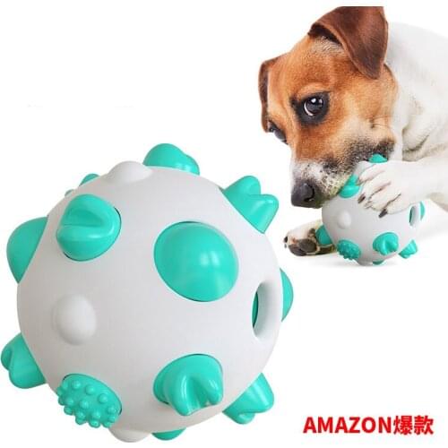Pet Supplies New Products Hot Selling Spherical Dog Toy Molar Rod Resistance Bite Bone Toothbrush Dog Toy