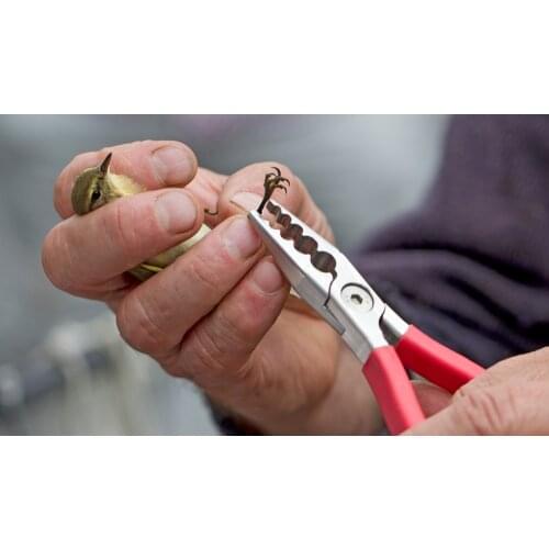 2.5M*12M Nylon Bird Mist Net 110d 2ply 16MM*16MM Mesh 5 Pockets Nets for Ringing/Banding Small Birds Well Tethered Bird Net