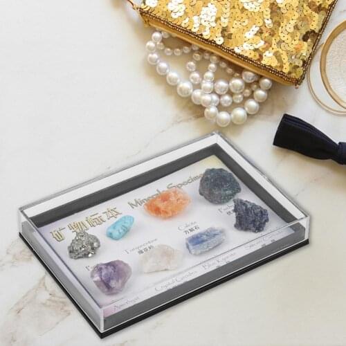 Stone 8Pcs Excellent Mixed Quartz Mineral Stone Durable Quartz Rocks Eye-catching for Home