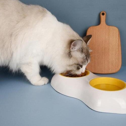 Non-Slip Cat Bowls Double Pet Bowls With Raised Stand Pet Food and Water Bowls For Cats Dogs Feeders Pet Products Cat Bowl