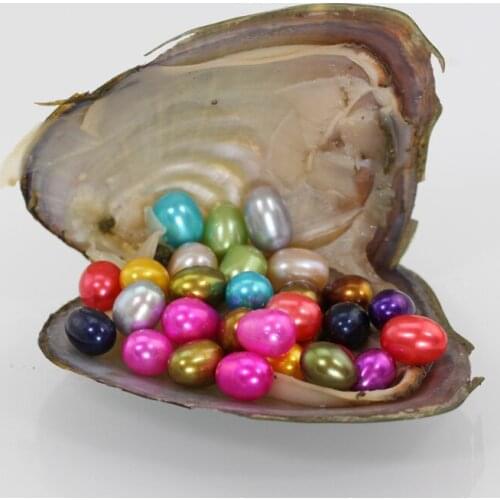 2018 Hot Sale Colored 7-8MM Rice Freshwater Pearl Random Color From 20 Oysters Vacuum Packing AAAA Pearls Pearl Mussel FO018