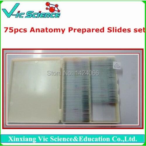 75pcs Human Anatomy Prepared Slides set