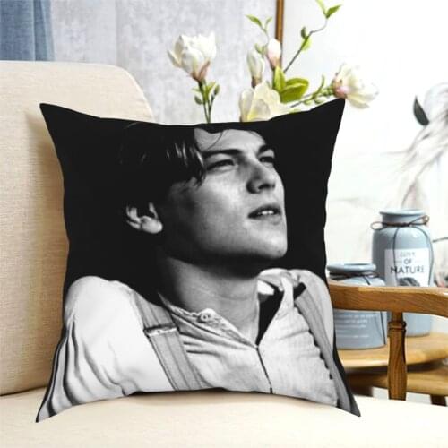 2021 high-quality movie characters Pillowcase Soft Polyester Cushion Cover Decorations Pillow Case Cover Home Square 40*40cm