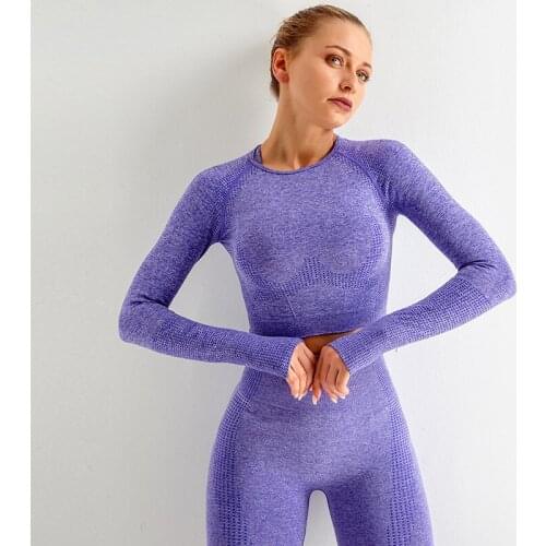Women Yoga Bodysuit Small Dot Jacquard Seamless Long Sleeve Gradient Fitness Long Sleeve Yoga Top