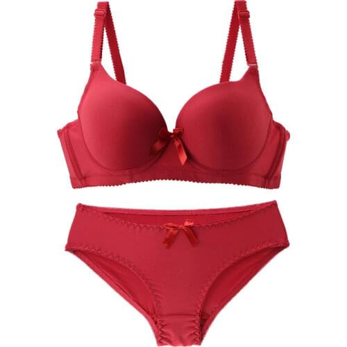 Sexy Lingerie Set Plus Size Women Gauze Embroidery Ultra-thin Bras Sets Lace Brassiere Hollow Out Bra and Panties Underwear