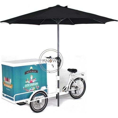 Europe Adult Electric Tricycle Mobile Ice Cream Cargo Bike With Freezer for Sell Cold Drinks Such As Cola Beer