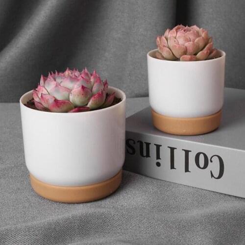 1PC Succulent Plant Pot Imitation ceramic plastic Pot Succulent Flowerpot Set With Bamboo Support For Desktop