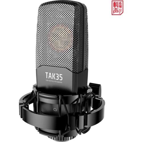 Takstar TAK35 professional recording microphone use for vocal / instrument / professional recording, instrument recording