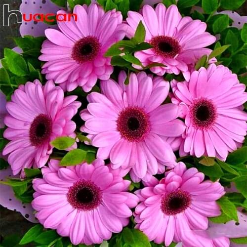 Huacan 5d DIY Diamond Painting Full Square/round Daisy Diamond Embroidery Mosaic Flower Handmade Gift