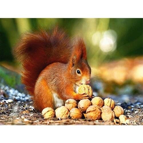 Diamond Painting Boat Tourism Landscape Square Diamond Round Diamond Decoration Customizable Wall Art Decoration Frameless Style