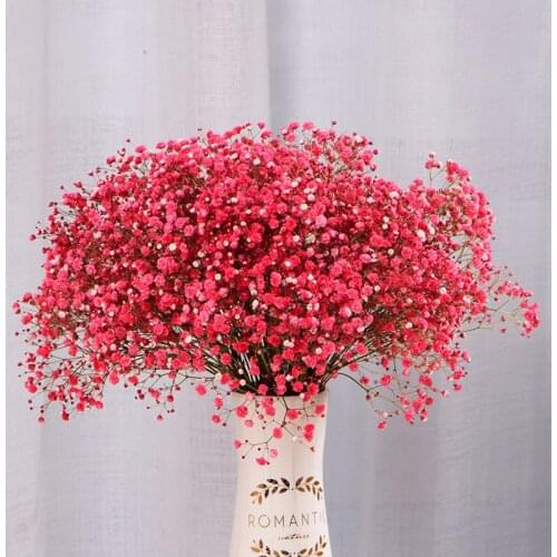 50cm Immortal Gypsophila Dried Flower Real Touch Home Decor Wedding Decoration Bride Holding Bundle Artificial True Gift Flower