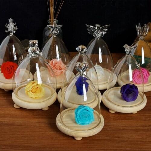 Small Size Cone Shaped Different Top Glass Dome Vase Home Decoration Creative Log Base Cover Friend Gift Wedding