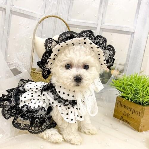 XXS XS Chihuahua Cat Dress Summer Pet Dog Clothes with Hat Outdoor Travel Puppy Clothing Pomeranian Poodle Schnauzer Costumes
