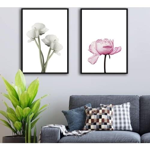 Flower Poster Pink Rose Canvas Painting Moth Orchid Wall Art Print Quote Modern Picture For Living Room On The Wall Home Decor