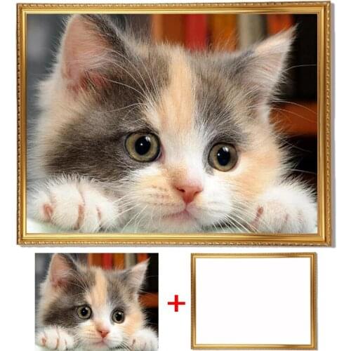 Framed 5D Diamond Painting Full Square Cat Diamond Embroidery Animal Mosaic Cross Stitch Kit Pictures Beads Art Home Decor
