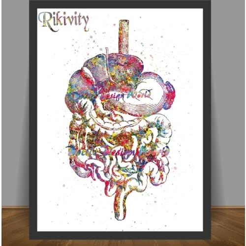 Rikivity Human Anatomy Poster Prints Canvas Painting Medical Digestive Tract Wall Art Pictures Home Doctor Clinic Decor Stickers