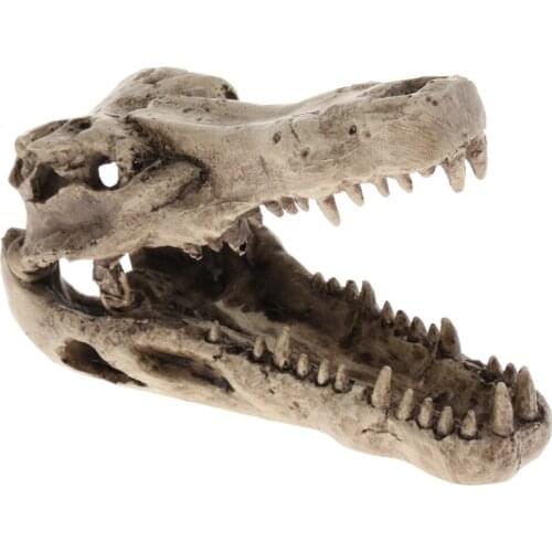 Dinosaur Shape Reptile Hideouts, , Spider And Aquarium Fish Hide