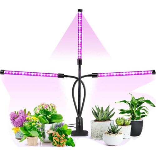 XINGCAN TECH Plant Lamps
