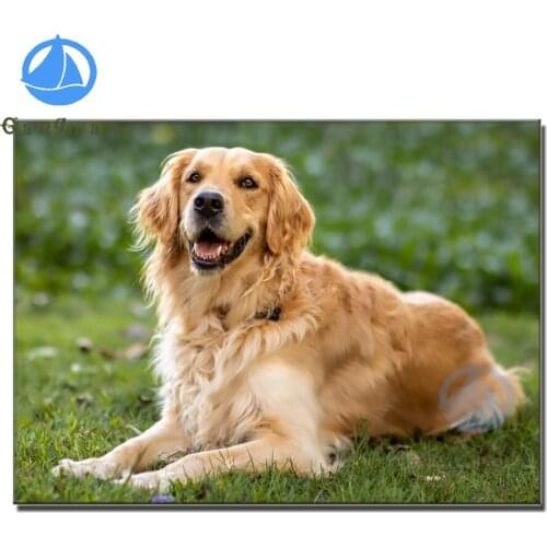 DIY Embroidery Diamond Painting Dog and Green grass Diamond Mosaic Full Square 5D Diamant Painting Golden Retriever Unframed