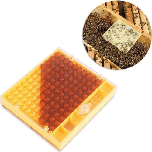 Beekeeping Bee Queen Rearing Cell Box Plastic Honeycombs Bee Cage Isolation Apiculture Equipment QX2E