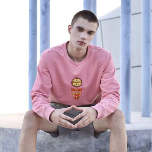 AlexPlein Mens Fashion Clothing One Piece 100%Cotton 2021 Winter Casual Oversized Embroidery Sweatshirt Round Neck High Quality