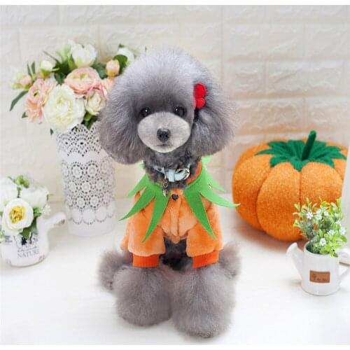 Dog Clothes for Small Dogs Soft Pet Dog Sweater Clothing for Dog Winter Halloween Pumpkin Clothes Classic Pet Outfit Accessories