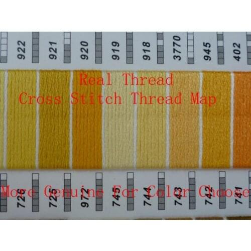 Embroidery High Quality Real Thread Hand Made Cross Stitch Thread Color Map Book Guide Free Shipping